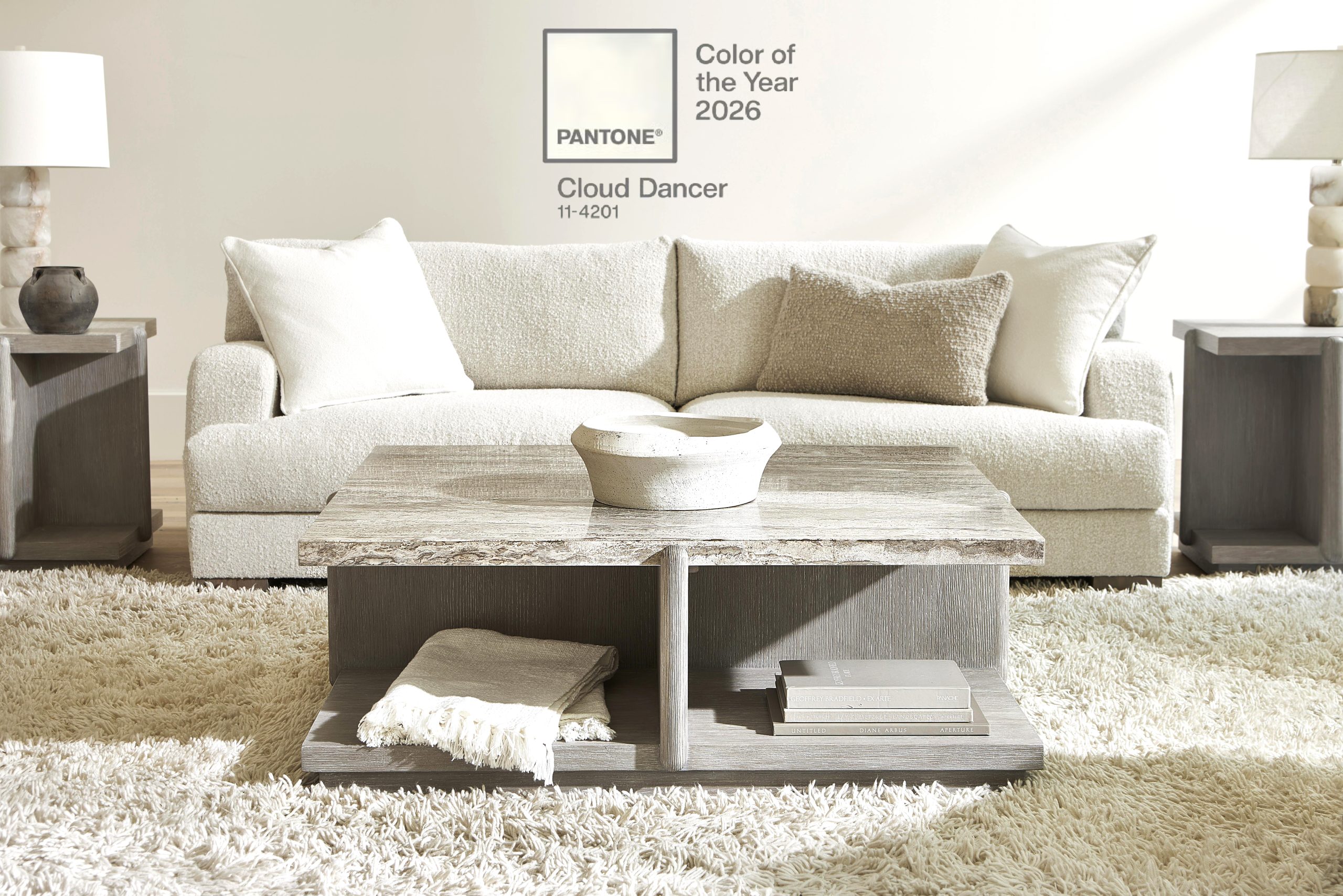 White couch in a neutral living room setting.